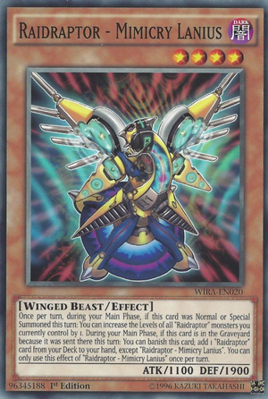 RaidraptorMimicryLanius-WIRA-EN-C-1E