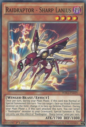 RaidraptorSharpLanius-WIRA-EN-C-1E
