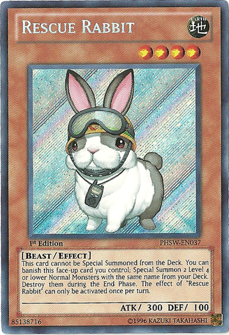 rabbit