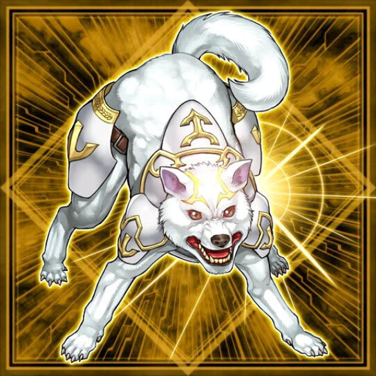 rykocard