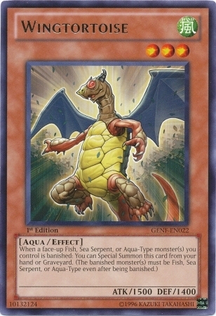 wingtortoiseGENF-EN-R-1E